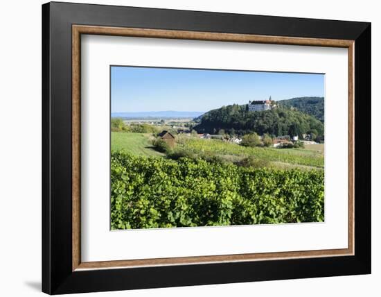 Castle Sitzenberg and Vineyards, Austria-Volker Preusser-Framed Photographic Print