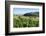 Castle Sitzenberg and Vineyards, Austria-Volker Preusser-Framed Photographic Print