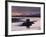 Castle Stalker on Loch Linnhe, Silhouetted at Dusk, Argyll, Scotland, United Kingdom, Europe-Nigel Francis-Framed Photographic Print