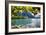 Castle View On Lake Geneva-George Oze-Framed Photographic Print