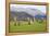 Castlerigg Stone Circle, Keswick, Lake District National Park, Cumbria, England-Ruth Tomlinson-Framed Premier Image Canvas