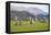 Castlerigg Stone Circle, Keswick, Lake District National Park, Cumbria, England-Ruth Tomlinson-Framed Premier Image Canvas