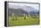 Castlerigg Stone Circle, Keswick, Lake District National Park, Cumbria, England-Ruth Tomlinson-Framed Premier Image Canvas