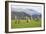 Castlerigg Stone Circle, Keswick, Lake District National Park, Cumbria, England-Ruth Tomlinson-Framed Photographic Print