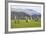 Castlerigg Stone Circle, Keswick, Lake District National Park, Cumbria, England-Ruth Tomlinson-Framed Photographic Print