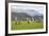 Castlerigg Stone Circle, Keswick, Lake District National Park, Cumbria, England-Ruth Tomlinson-Framed Photographic Print