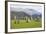 Castlerigg Stone Circle, Keswick, Lake District National Park, Cumbria, England-Ruth Tomlinson-Framed Photographic Print