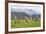 Castlerigg Stone Circle, Keswick, Lake District National Park, Cumbria, England-Ruth Tomlinson-Framed Photographic Print