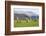 Castlerigg Stone Circle, Keswick, Lake District National Park, Cumbria, England-Ruth Tomlinson-Framed Photographic Print