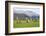 Castlerigg Stone Circle, Keswick, Lake District National Park, Cumbria, England-Ruth Tomlinson-Framed Photographic Print