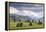 Castlerigg Stone Circle, near Keswick, Lake District National Park, Cumbria, England, United Kingdo-John Potter-Framed Premier Image Canvas