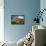 Castlerigg Stone Circle with Blencathra Mountain Behind, Lake District, Cumbria-Adam Burton-Framed Premier Image Canvas displayed on a wall