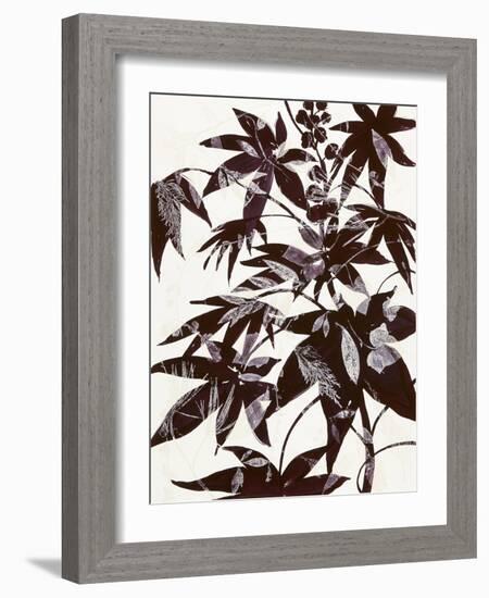 Castor Bean 2-Cynthia MacCollum-Framed Art Print