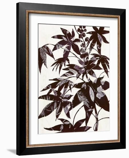 Castor Bean 2-Cynthia MacCollum-Framed Art Print