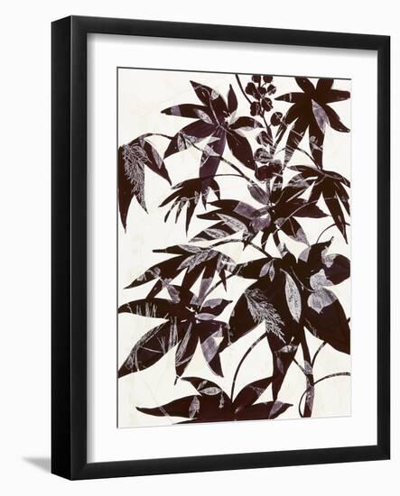 Castor Bean 2-Cynthia MacCollum-Framed Art Print