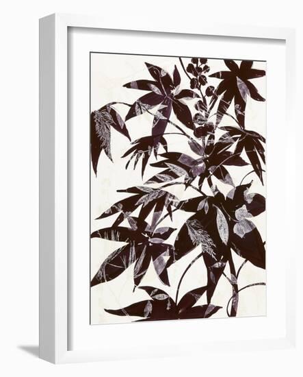 Castor Bean 2-Cynthia MacCollum-Framed Art Print