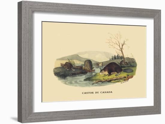 Castor du Canada-E.f. Noel-Framed Art Print