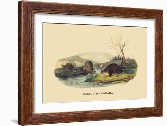 Castor du Canada-E.f. Noel-Framed Art Print