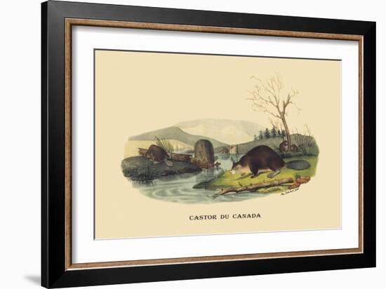 Castor du Canada-E.f. Noel-Framed Art Print