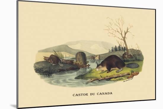 Castor du Canada-E.f. Noel-Mounted Art Print