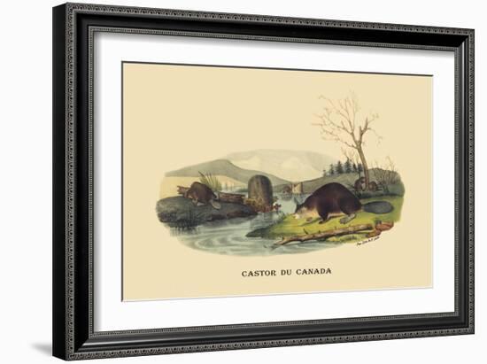 Castor du Canada-E.f. Noel-Framed Art Print