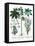 Castor Oil Plant-Georgette Douwma-Framed Premier Image Canvas