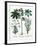 Castor Oil Plant-Georgette Douwma-Framed Photographic Print