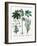 Castor Oil Plant-Georgette Douwma-Framed Photographic Print