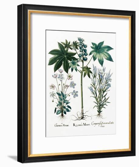 Castor Oil Plant-Georgette Douwma-Framed Photographic Print