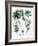 Castor Oil Plant-Georgette Douwma-Framed Photographic Print