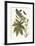 Castor Oil Tree with a Moth-Maria Sibylla Merian-Framed Art Print