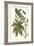 Castor Oil Tree with a Moth-Maria Sibylla Merian-Framed Premium Giclee Print