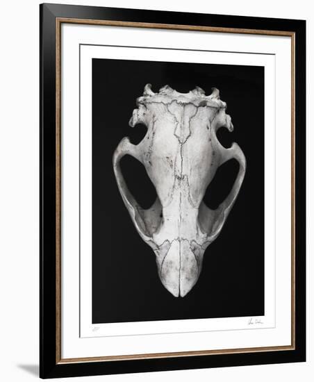 Castor-Chris Dunker-Framed Collectable Print