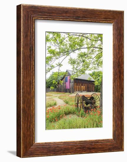 Castroville, Texas, USA.  Large American flag on a barn in the Texas Hill Country.-Emily Wilson-Framed Photographic Print