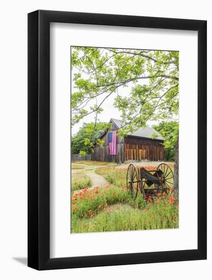 Castroville, Texas, USA.  Large American flag on a barn in the Texas Hill Country.-Emily Wilson-Framed Photographic Print