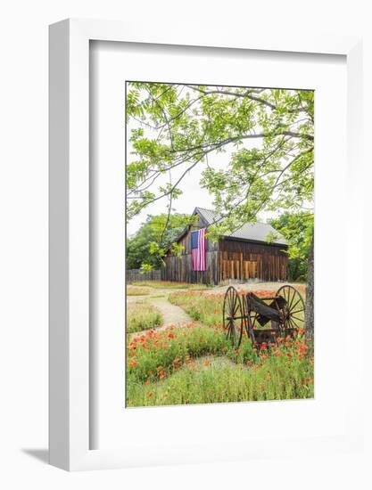 Castroville, Texas, USA.  Large American flag on a barn in the Texas Hill Country.-Emily Wilson-Framed Photographic Print