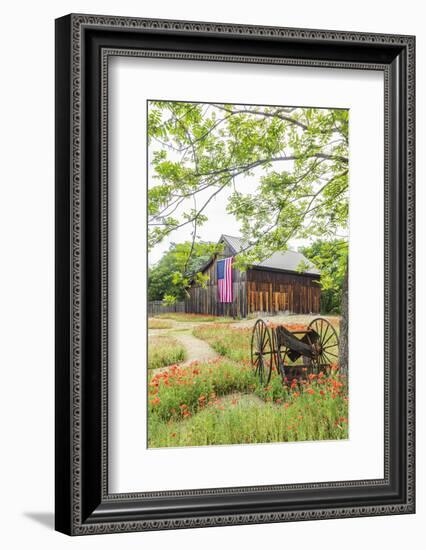 Castroville, Texas, USA.  Large American flag on a barn in the Texas Hill Country.-Emily Wilson-Framed Photographic Print