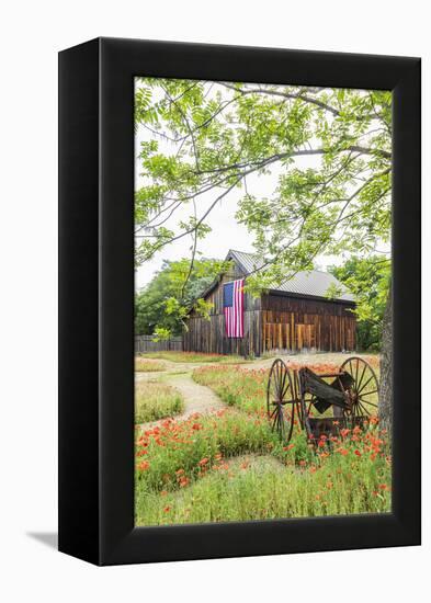 Castroville, Texas, USA.  Large American flag on a barn in the Texas Hill Country.-Emily Wilson-Framed Premier Image Canvas