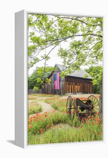 Castroville, Texas, USA.  Large American flag on a barn in the Texas Hill Country.-Emily Wilson-Framed Premier Image Canvas