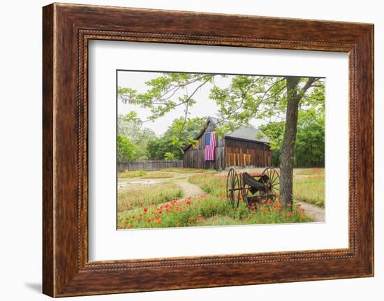 Castroville, Texas, USA.  Large American flag on a barn in the Texas Hill Country.-Emily Wilson-Framed Photographic Print