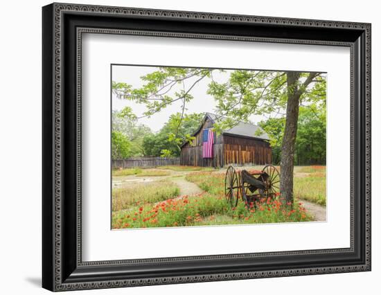 Castroville, Texas, USA.  Large American flag on a barn in the Texas Hill Country.-Emily Wilson-Framed Photographic Print