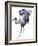 Casual Crane-Kristine Hegre-Framed Giclee Print