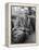 Casual Portrait of Architect Richard Neutra-Ed Clark-Framed Premier Image Canvas