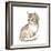 Cat 1. Gray Fluffy Kitten. Watercolor Painting-OGri-Framed Photographic Print