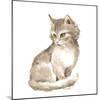 Cat 1. Gray Fluffy Kitten. Watercolor Painting-OGri-Mounted Photographic Print