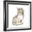 Cat 1. Gray Fluffy Kitten. Watercolor Painting-OGri-Framed Photographic Print