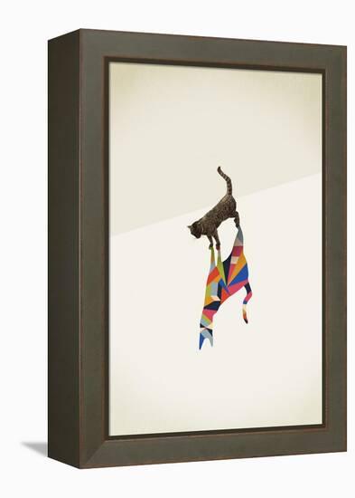 Cat 2-Jason Ratliff-Framed Premier Image Canvas