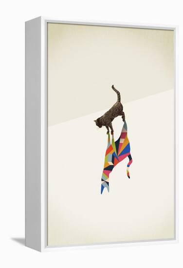 Cat 2-Jason Ratliff-Framed Premier Image Canvas