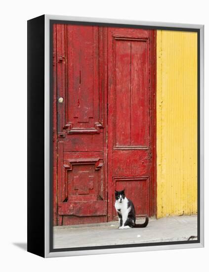 Cat and Colorful Doorway, Valparaiso, Chile-Scott T. Smith-Framed Premier Image Canvas