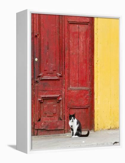 Cat and Colorful Doorway, Valparaiso, Chile-Scott T. Smith-Framed Premier Image Canvas